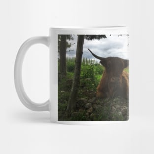 Scottish Highland Cattle Cow 2013 Mug